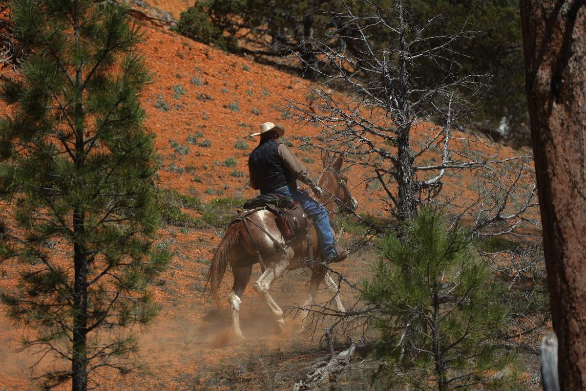 Reiter im Red Canyon
